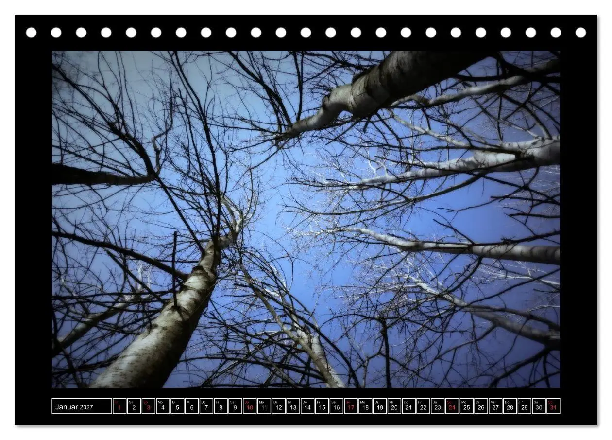 Bild: 9783569907584 | Der Reichswald bei Kleve (Tischkalender 2027 DIN A5 quer), CALVENDO...
