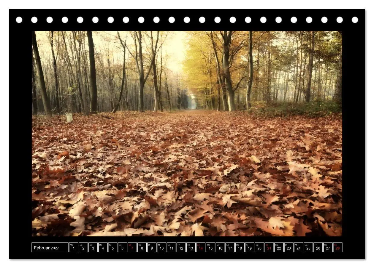 Bild: 9783569907584 | Der Reichswald bei Kleve (Tischkalender 2027 DIN A5 quer), CALVENDO...