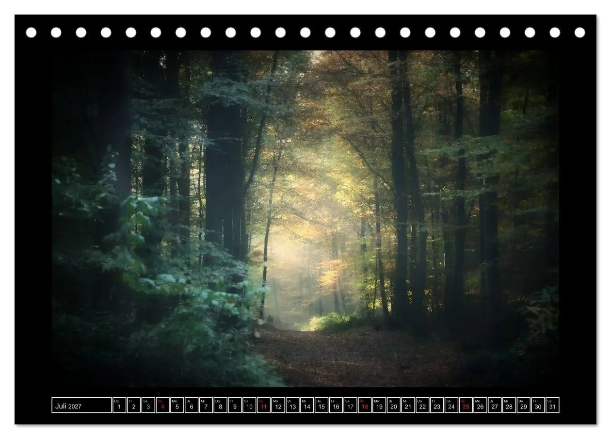 Bild: 9783569907584 | Der Reichswald bei Kleve (Tischkalender 2027 DIN A5 quer), CALVENDO...