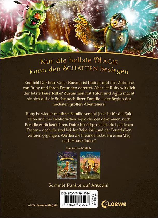 Rückseite: 9783743217584 | Der letzte Feuerfalke und das geheime Labyrinth (Band 10) | Charman