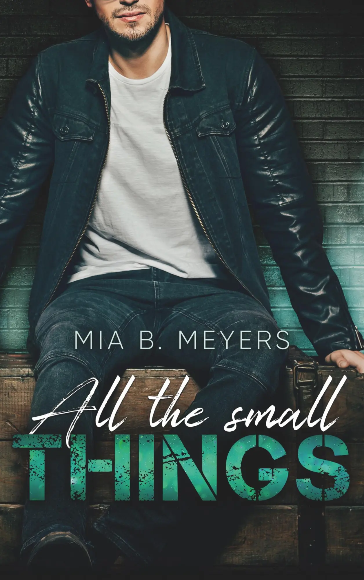 Cover: 9783751997584 | All the small Things | Mia B. Meyers | Taschenbuch | 266 S. | Deutsch