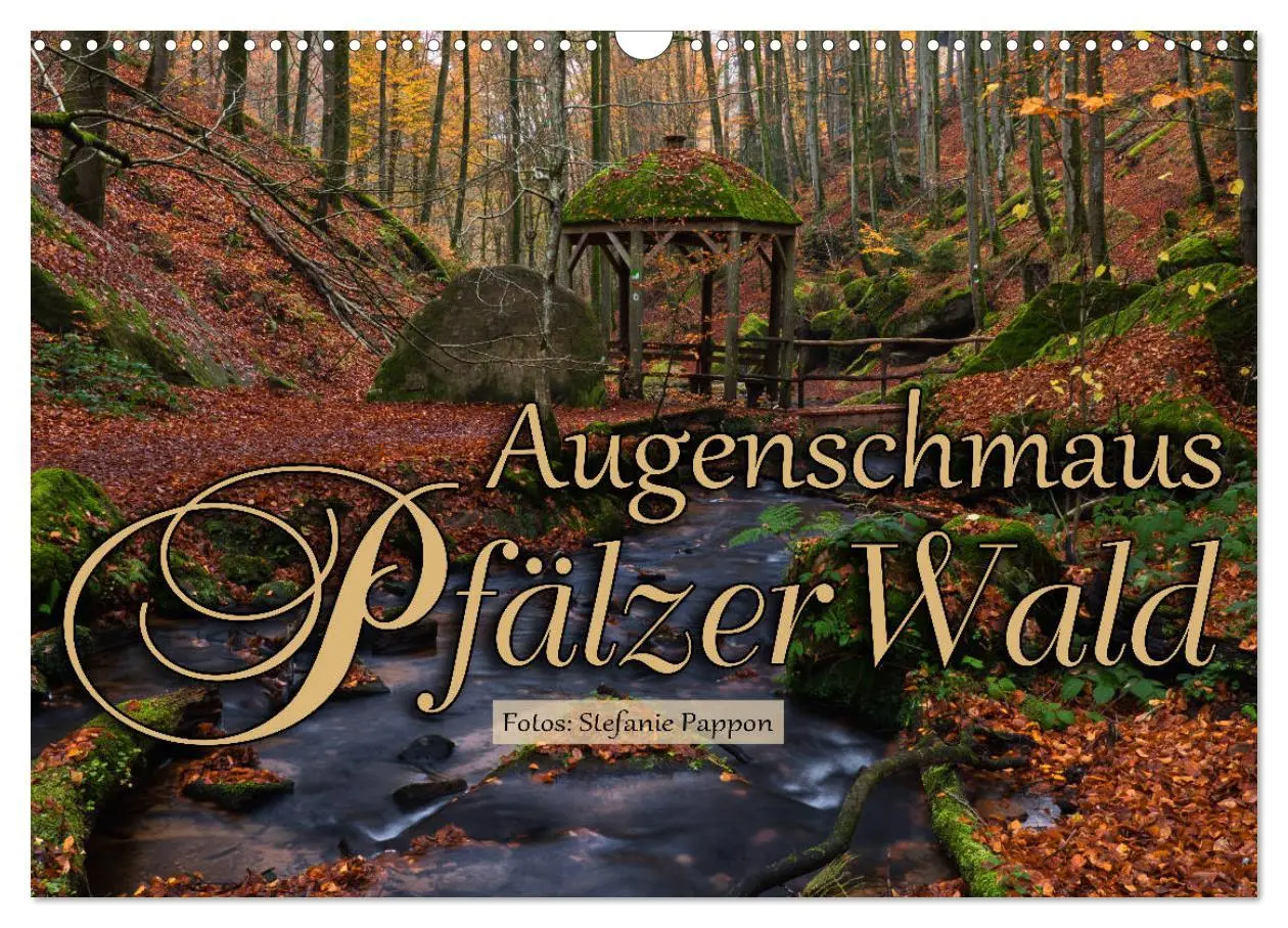 Cover: 9783457717684 | Augenschmaus Pfälzer Wald (Wandkalender 2026 DIN A3 quer), CALVENDO...