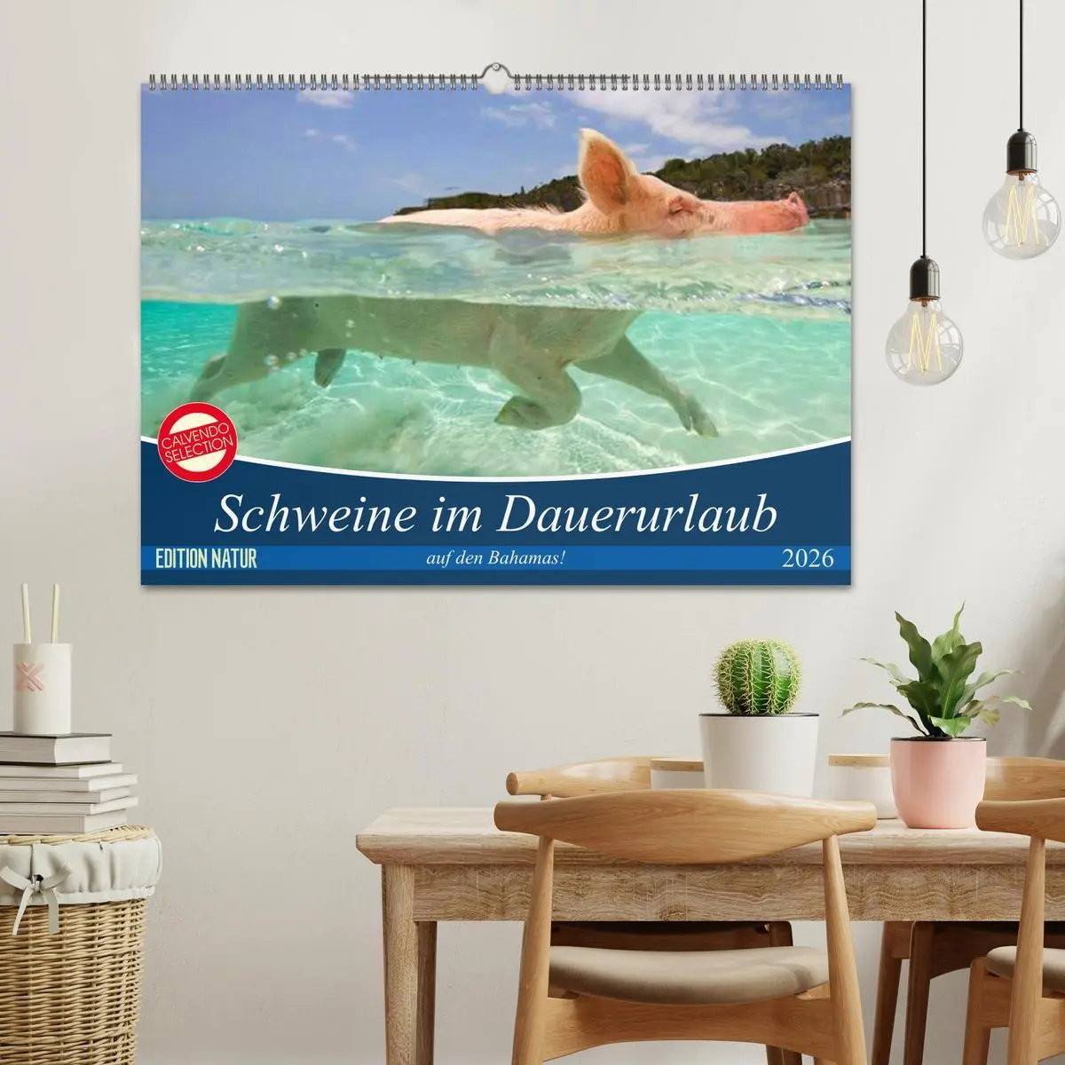 Bild: 9783457887684 | Schweine im Dauerurlaub auf den Bahamas! (Wandkalender 2026 DIN A2...