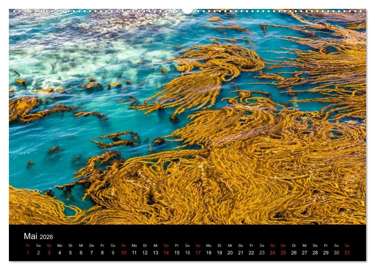 Bild: 9783516117684 | Meer und Küste (Wandkalender 2026 DIN A2 quer), CALVENDO...