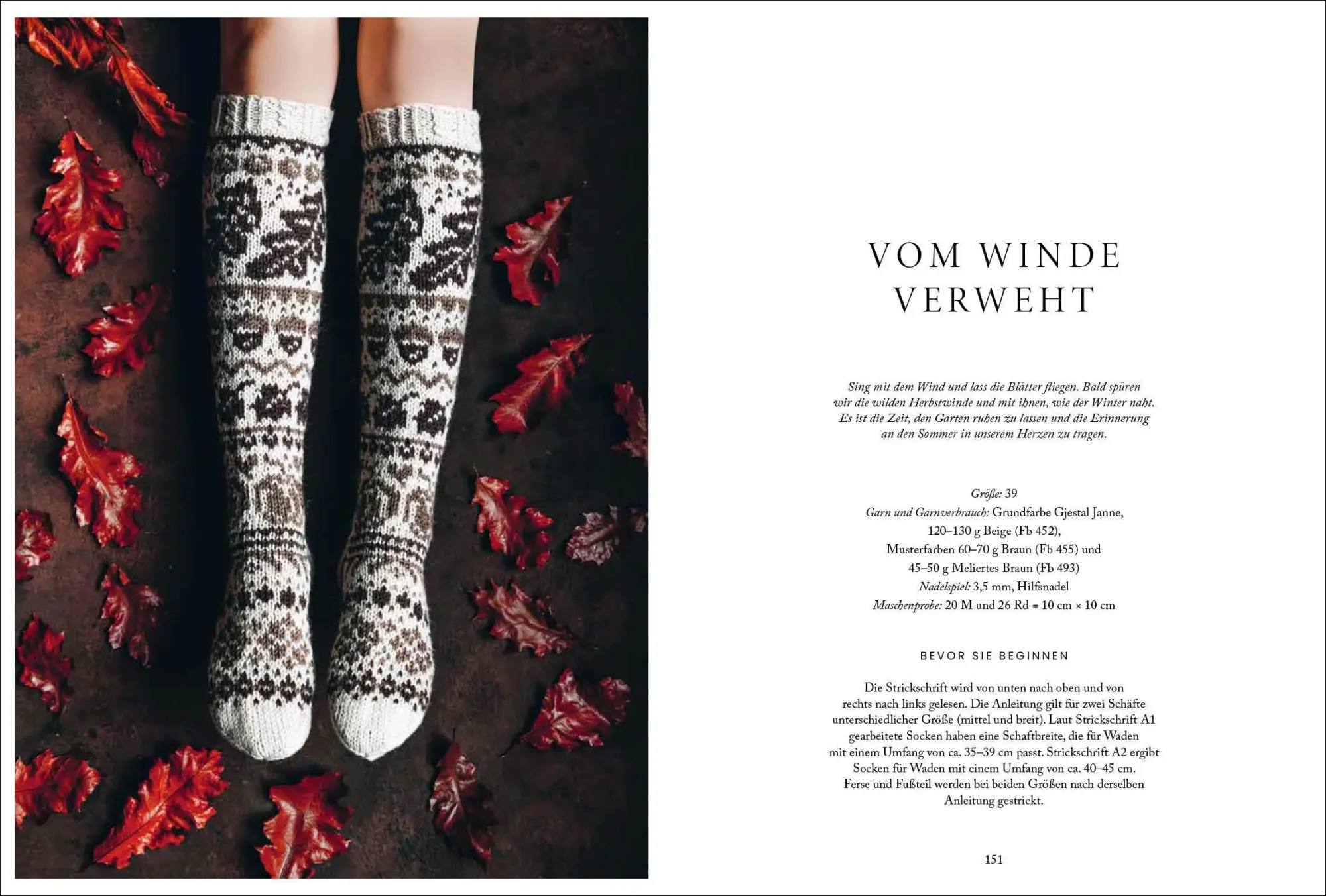 Bild: 9783841067784 | Florale Scandi-Socken stricken | Niina Laitinen | Buch | 160 S. | 2024