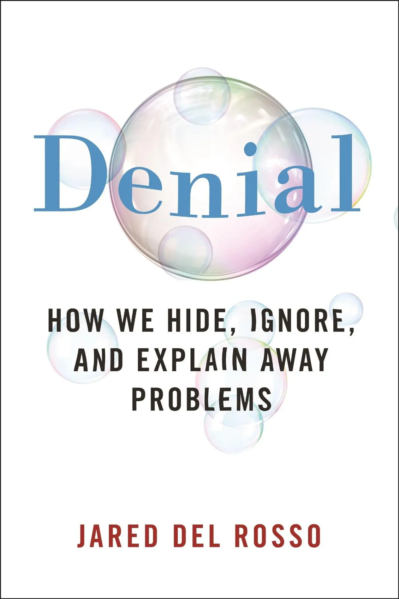 Cover: 9781479847884 | Denial | How We Hide, Ignore, and Explain Away Problems | Rosso | Buch
