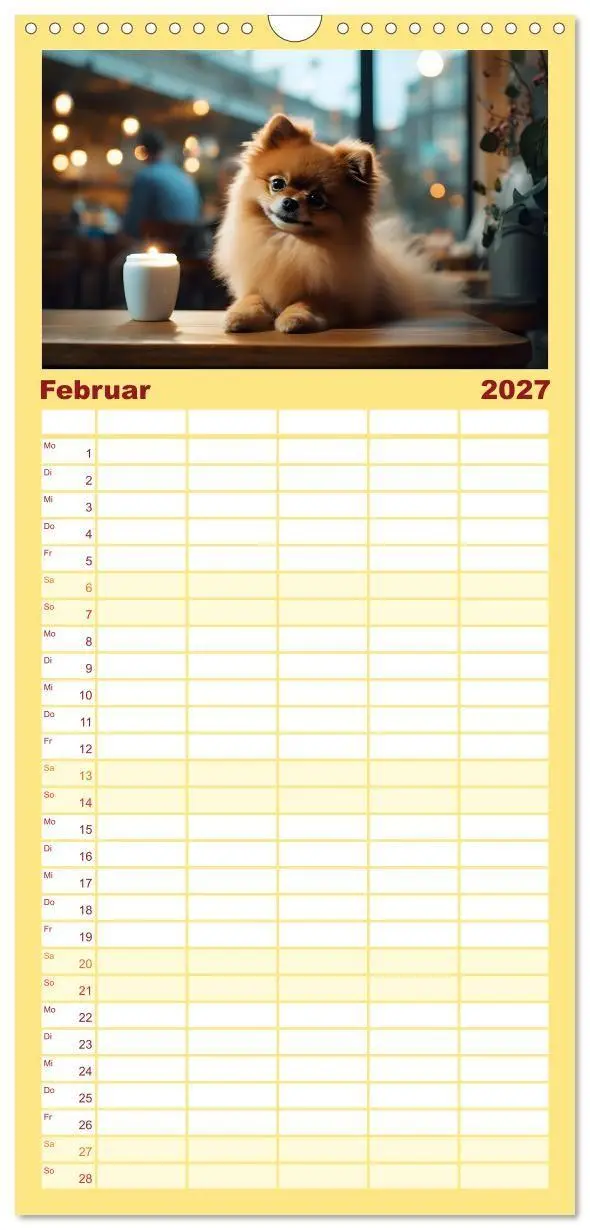 Bild: 9783594317884 | Familienplaner 2027 - Zwergspitze - kleine Hunde, große...
