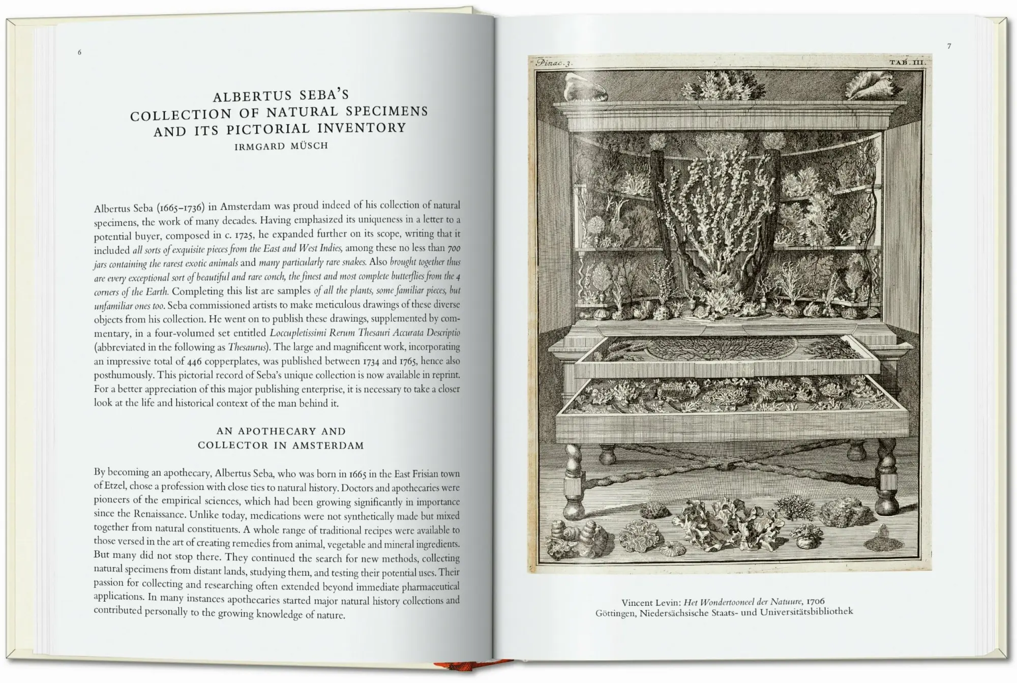 Bild: 9783836587884 | Seba. Cabinet of Natural Curiosities. 40th Ed. | Albertus Seba | Buch