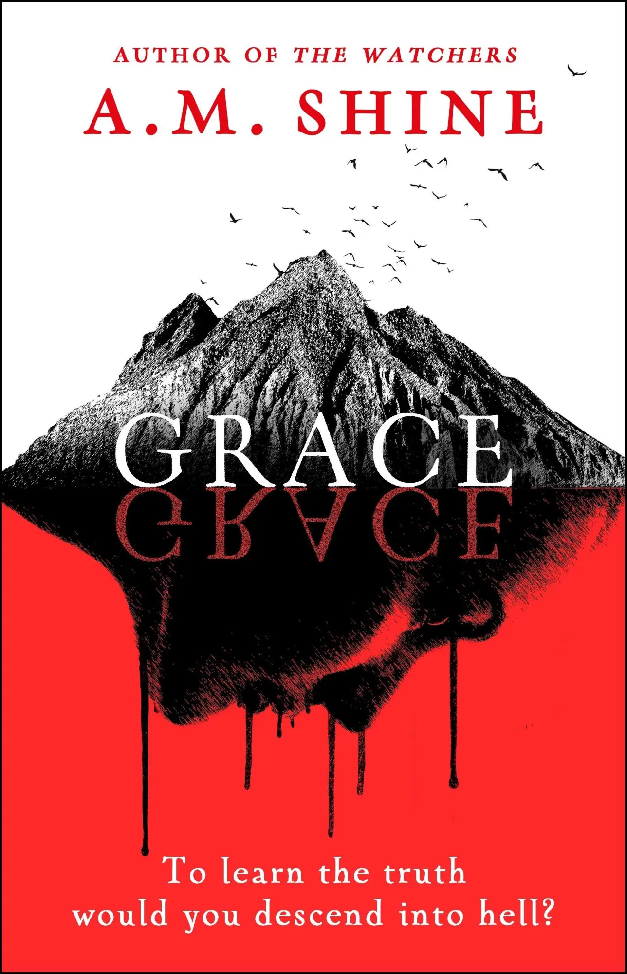Cover: 9781804547984 | Grace | A. M. Shine | Buch | Englisch | 2026 | EAN 9781804547984