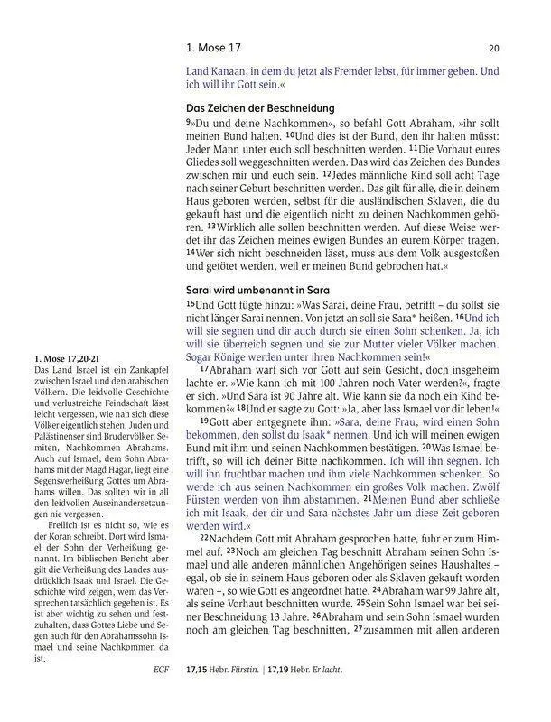 Bild: 9783417257984 | Das Buch der Versprechen | Tamara Hinz (u. a.) | Taschenbuch | 1984 S.