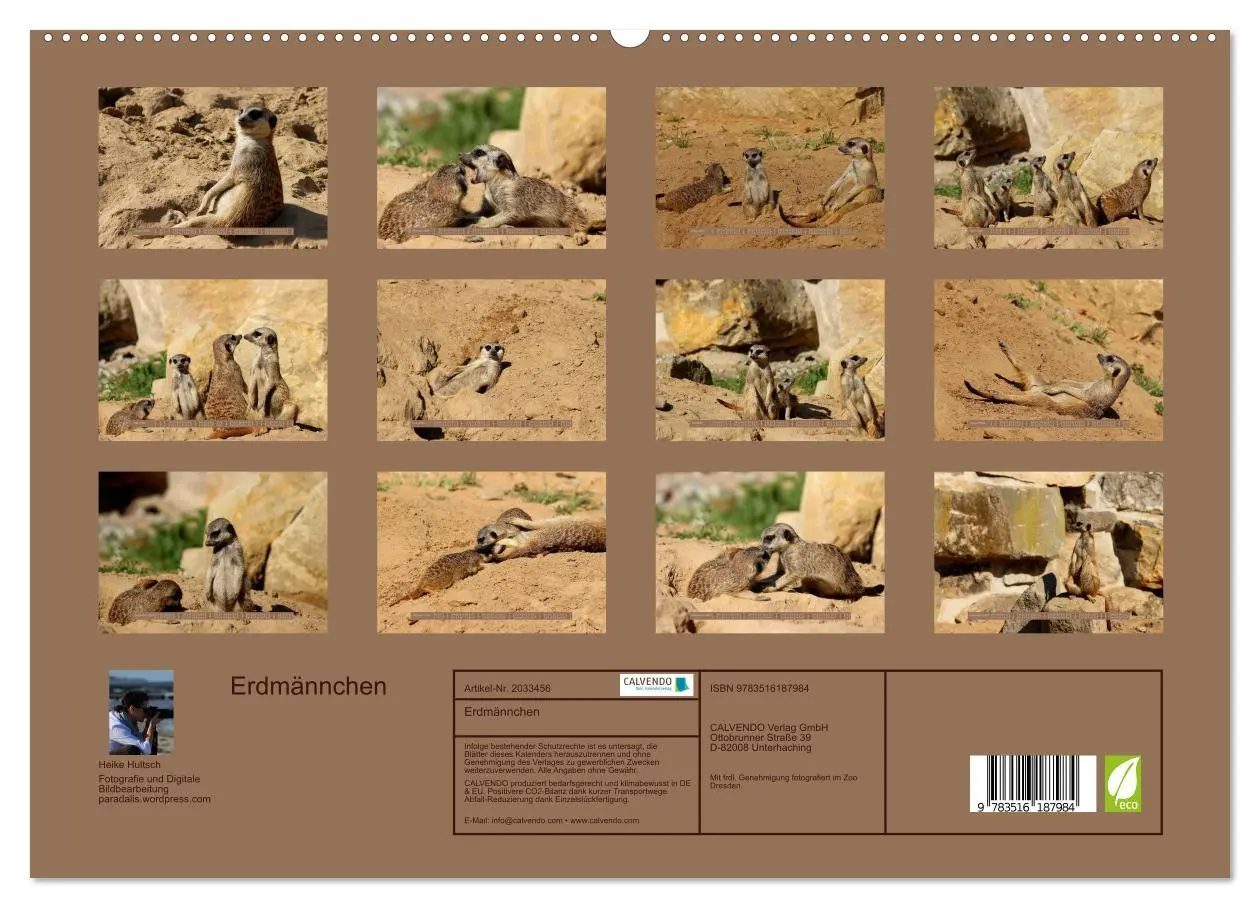 Bild: 9783516187984 | Erdmännchen (hochwertiger Premium Wandkalender 2026 DIN A2 quer),...
