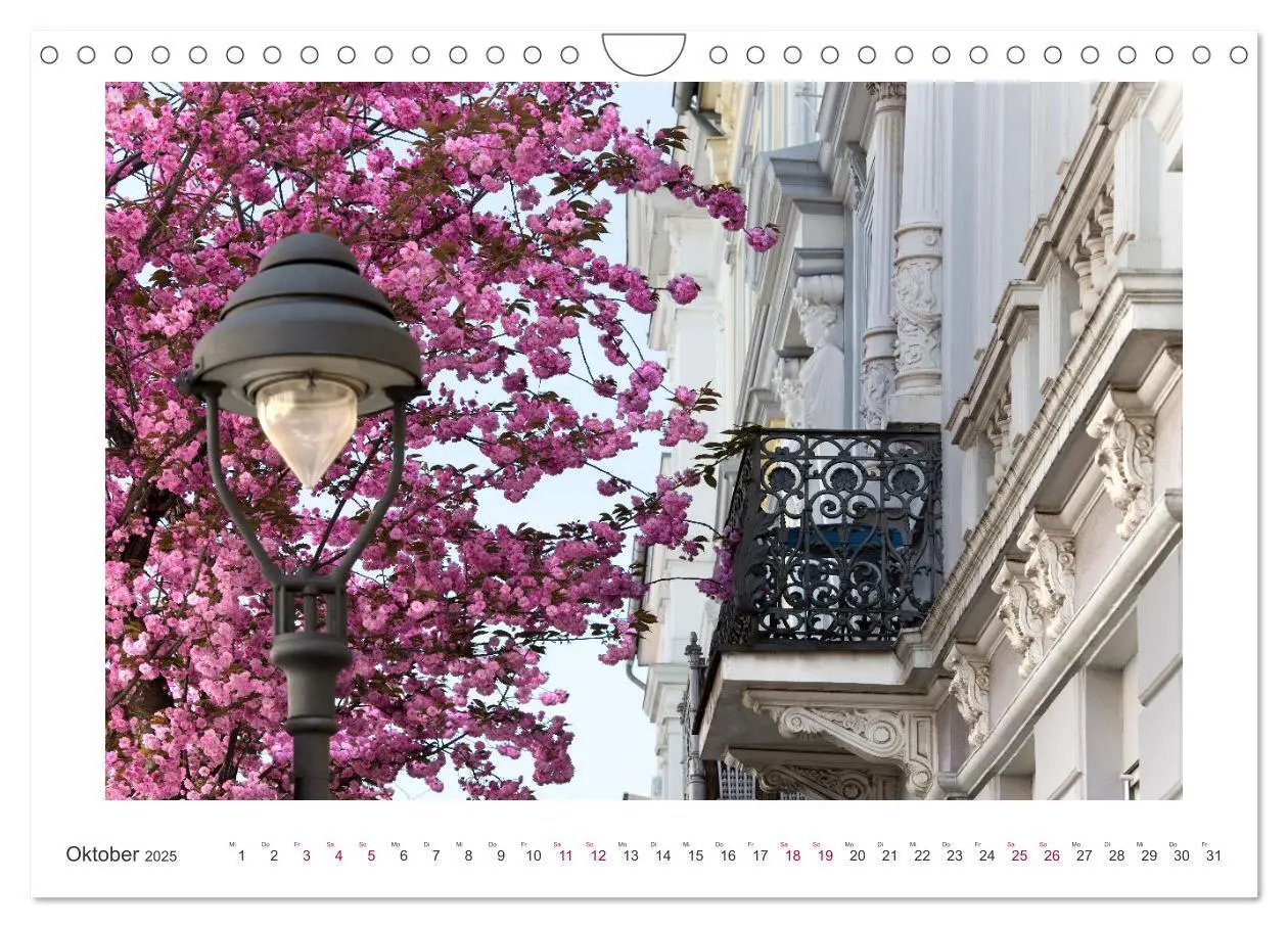 Bild: 9783457128084 | Japanische Kirschblüte in Bonn (Wandkalender 2025 DIN A4 quer),...