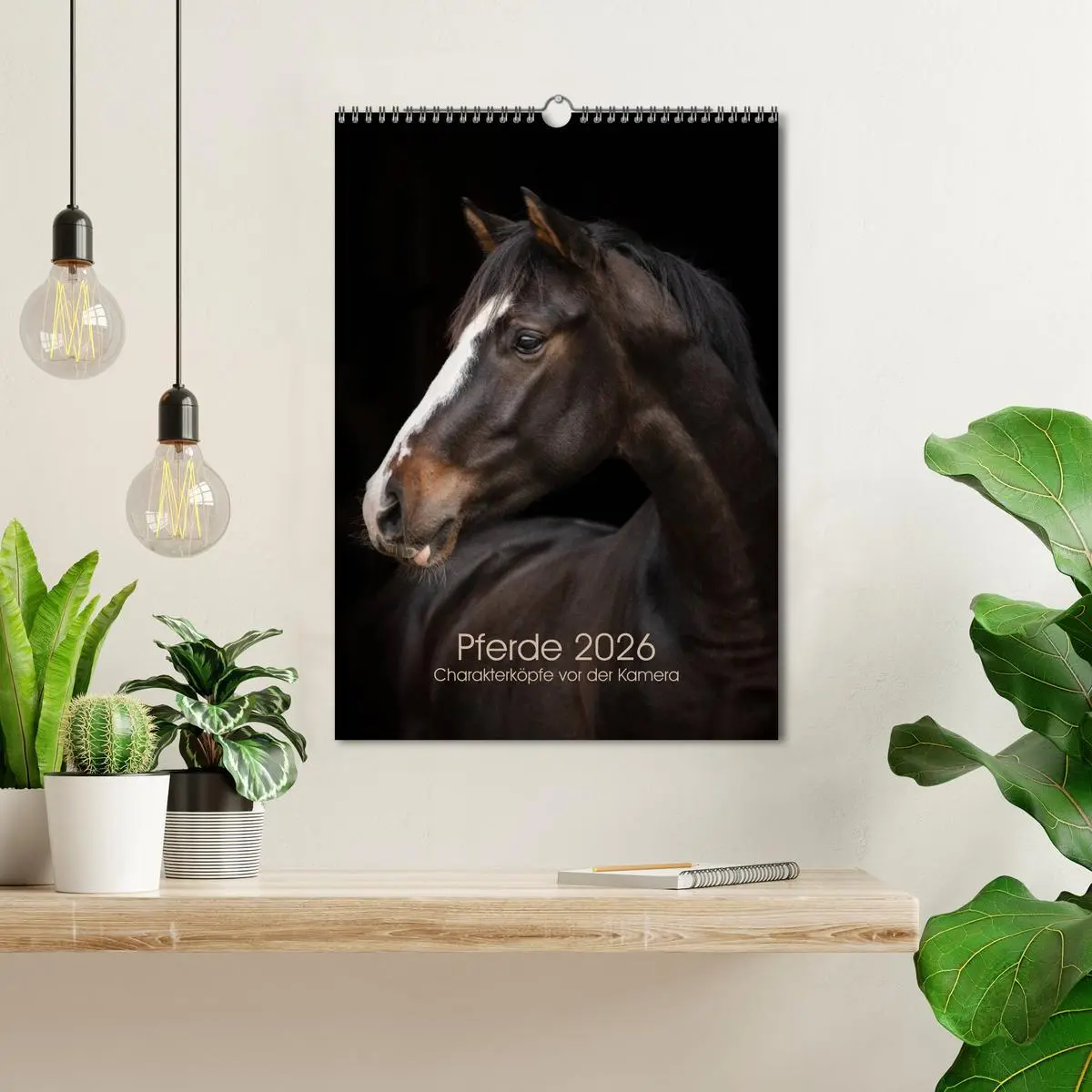 Bild: 9783516388084 | Pferde 2026 - Charakterköpfe vor der Kamera (Wandkalender 2026 DIN...