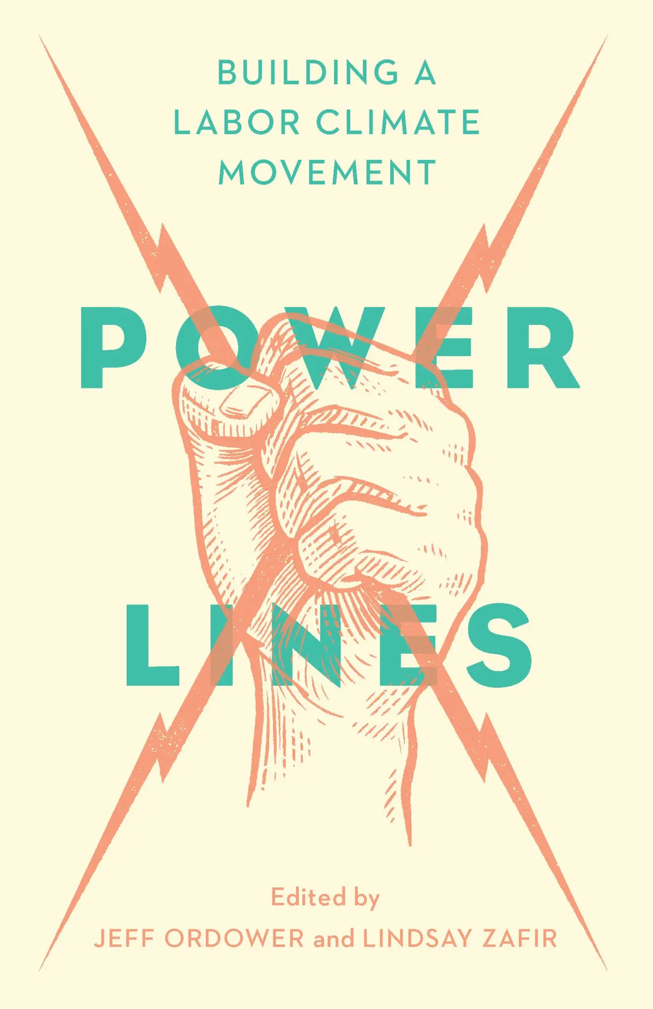 Bild: 9781620978184 | Power Lines | Building a Labor-Climate Justice Movement | Taschenbuch