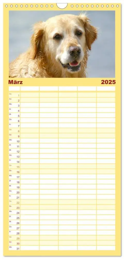 Bild: 9783457118184 | Familienplaner 2025 - Golden Retriever Power mit 5 Spalten...