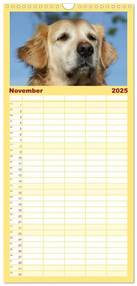 Bild: 9783457118184 | Familienplaner 2025 - Golden Retriever Power mit 5 Spalten...