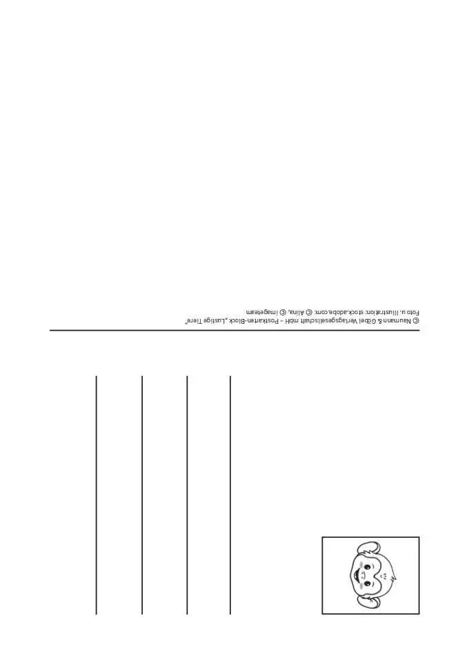 Bild: 9783625198284 | Postkartenblock Lustige Tiere | Taschenbuch | 40 S. | Deutsch | 2025