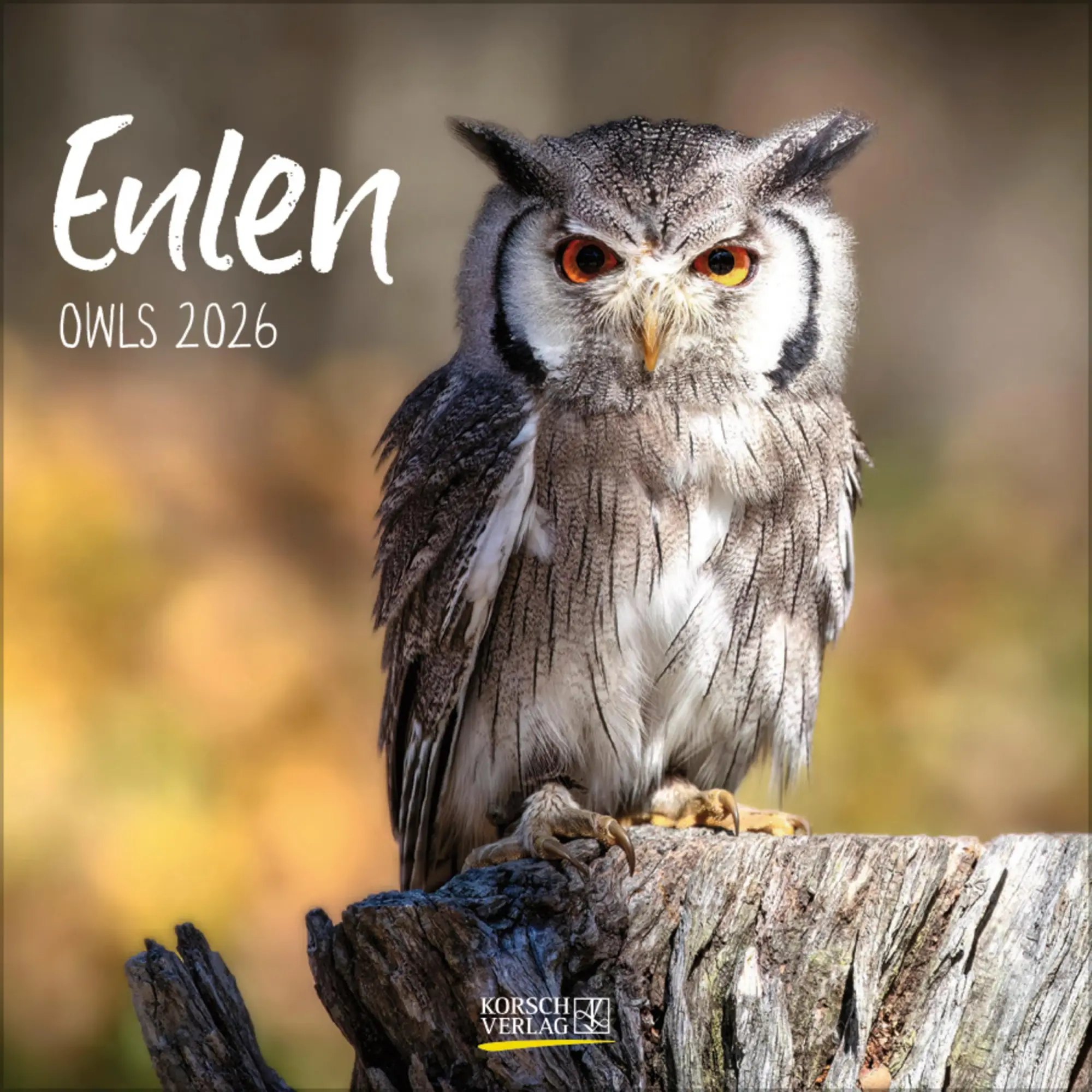 Cover: 9783731888284 | Eulen 2026 | Verlag Korsch | Kalender | 13 S. | Deutsch | 2026