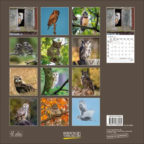 Bild: 9783731888284 | Eulen 2026 | Verlag Korsch | Kalender | 13 S. | Deutsch | 2026