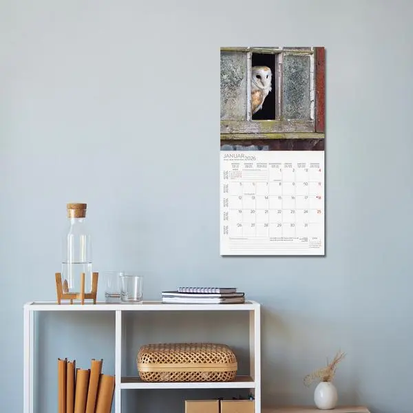 Bild: 9783731888284 | Eulen 2026 | Verlag Korsch | Kalender | 13 S. | Deutsch | 2026