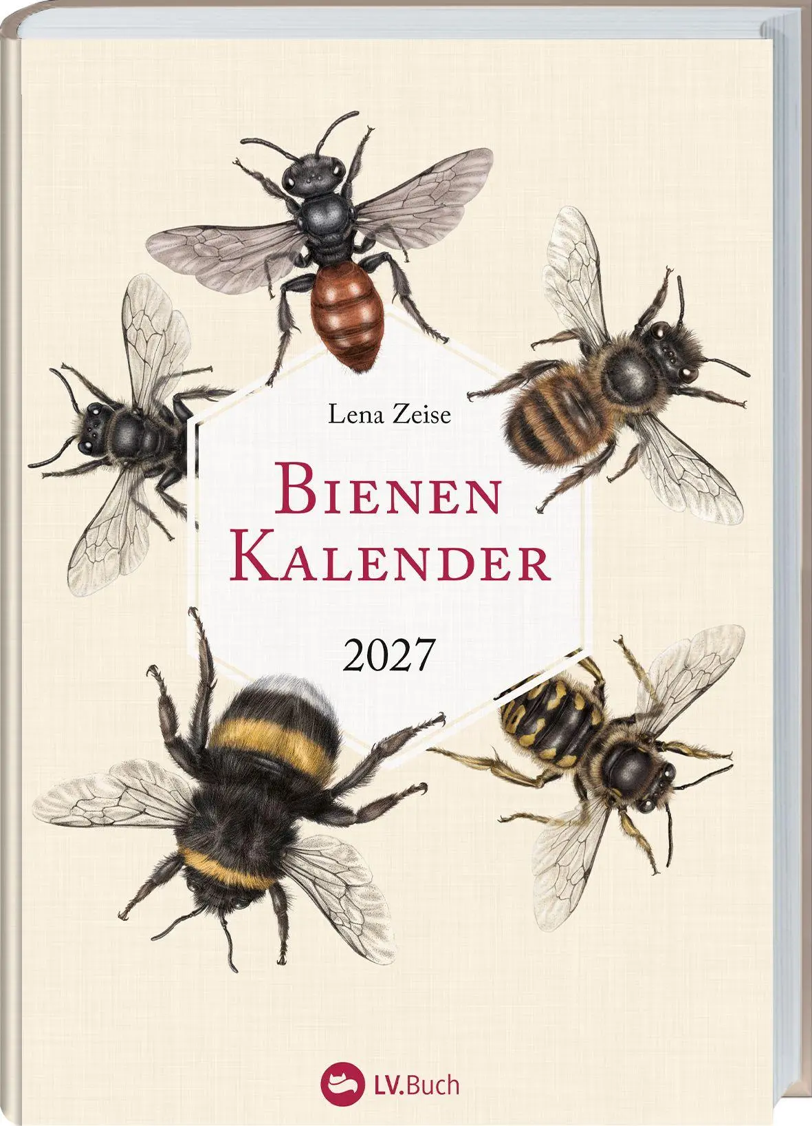Cover: 9783784358284 | Bienenkalender 2027 | Lena Zeise | Kalender | 160 S. | Deutsch | 2027