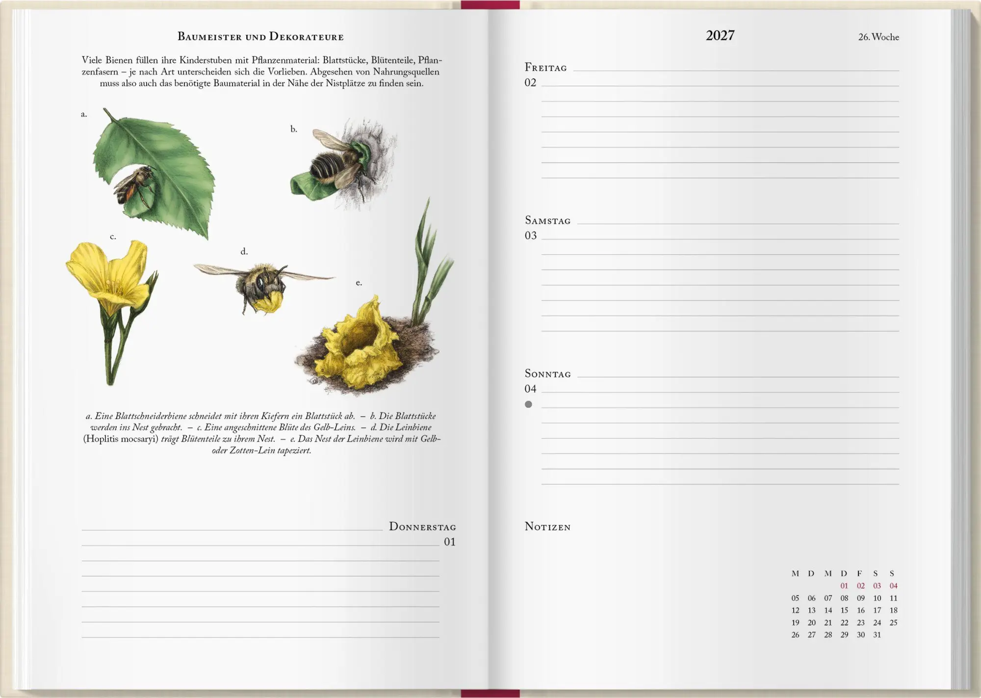 Bild: 9783784358284 | Bienenkalender 2027 | Lena Zeise | Kalender | 160 S. | Deutsch | 2027
