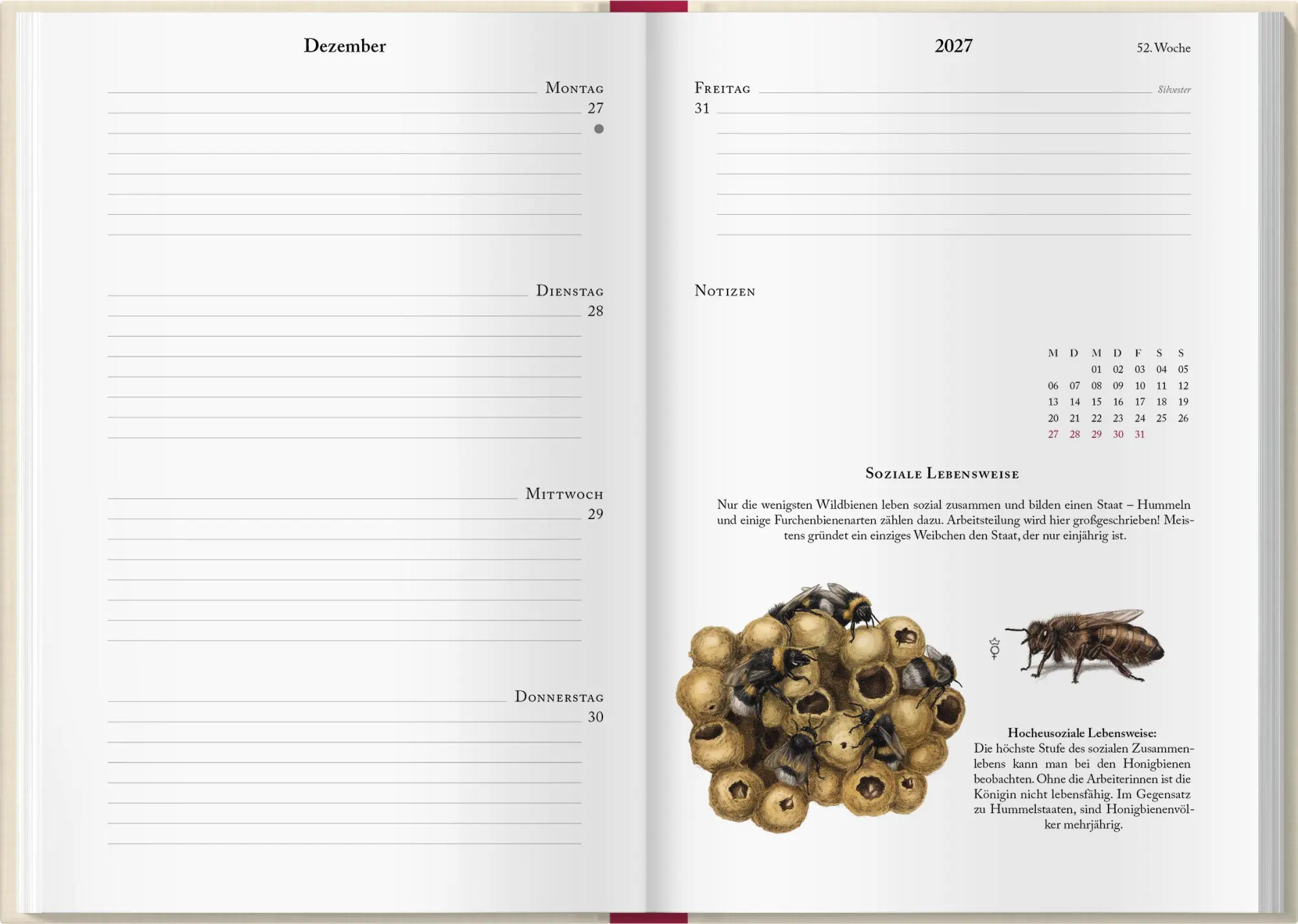 Bild: 9783784358284 | Bienenkalender 2027 | Lena Zeise | Kalender | 160 S. | Deutsch | 2027