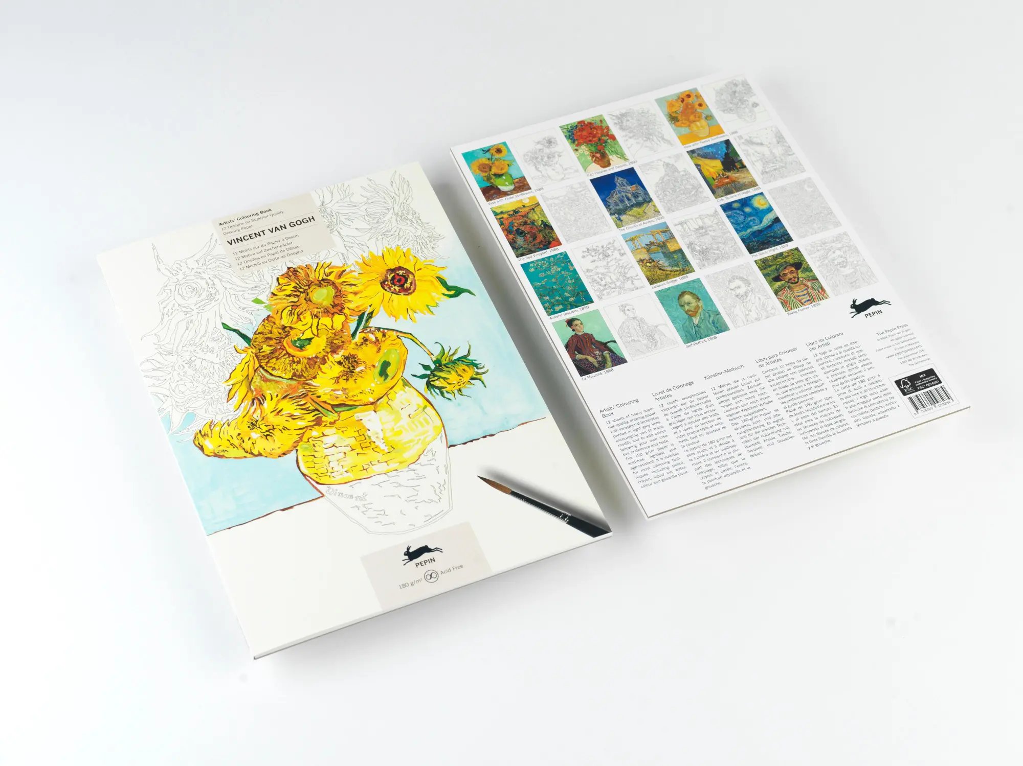 Cover: 9789460098284 | Vincent van Gogh | Artists' Colouring Book | Pepin Van Roojen | Buch