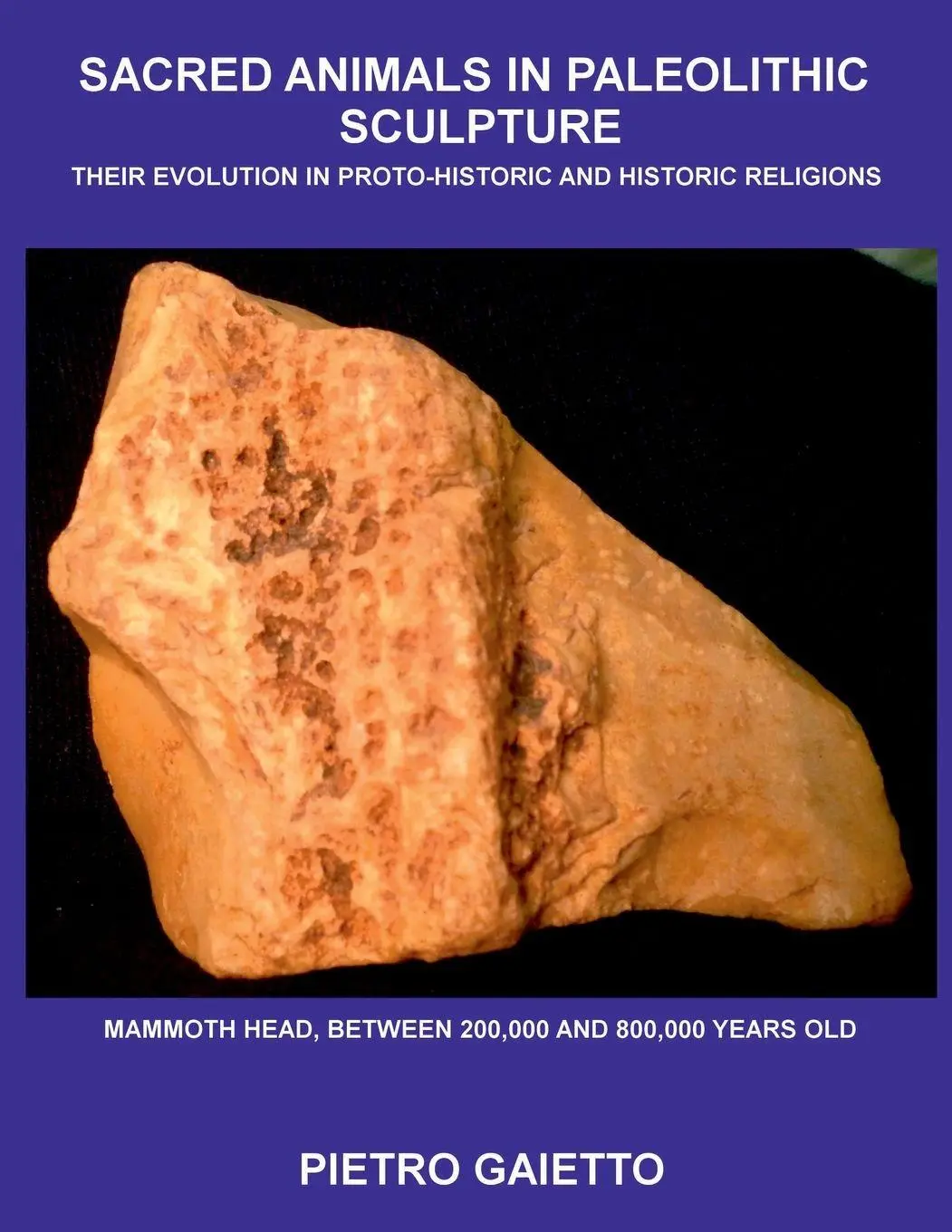 Cover: 9780244238384 | Sacred Animals in Paleolithic Sculpture | Pietro Gaietto | Taschenbuch
