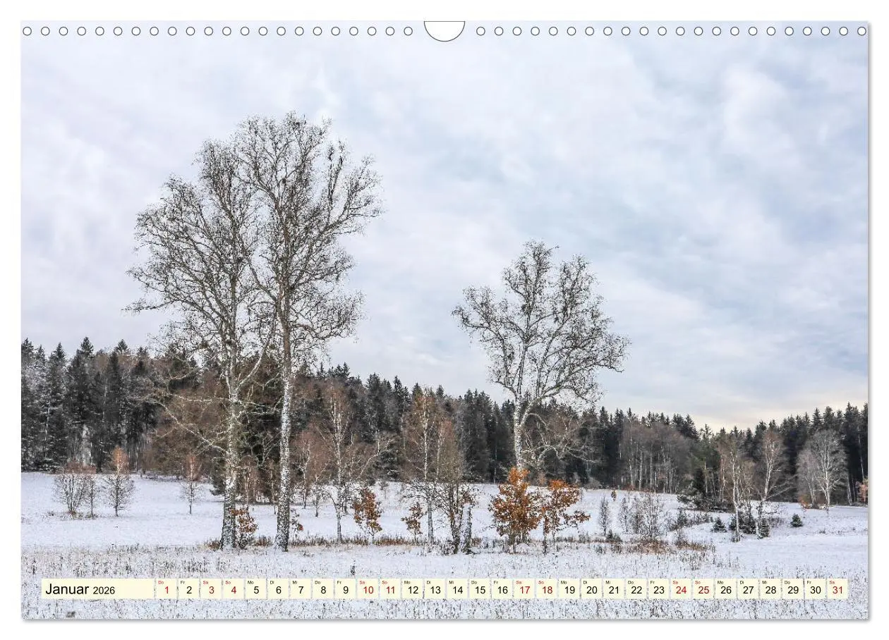 Bild: 9783457578384 | Naturpark Obere Donau (Wandkalender 2026 DIN A3 quer), CALVENDO...