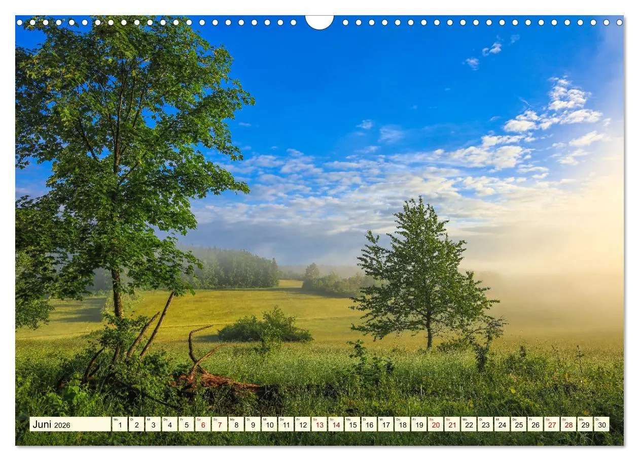 Bild: 9783457578384 | Naturpark Obere Donau (Wandkalender 2026 DIN A3 quer), CALVENDO...