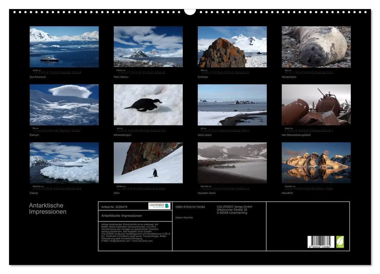 Bild: 9783516118384 | Antarktische Impressionen (Wandkalender 2026 DIN A2 quer), CALVENDO...