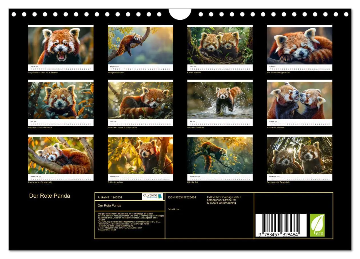 Bild: 9783457328484 | Der Rote Panda (Wandkalender 2026 DIN A4 quer), CALVENDO...