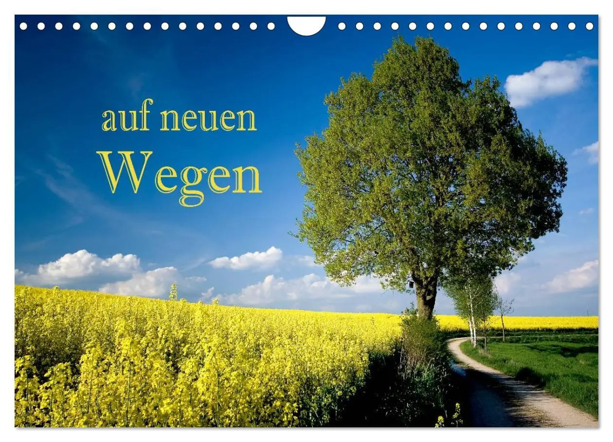 Cover: 9783457948484 | Auf neuen Wegen (Wandkalender 2026 DIN A4 quer), CALVENDO...