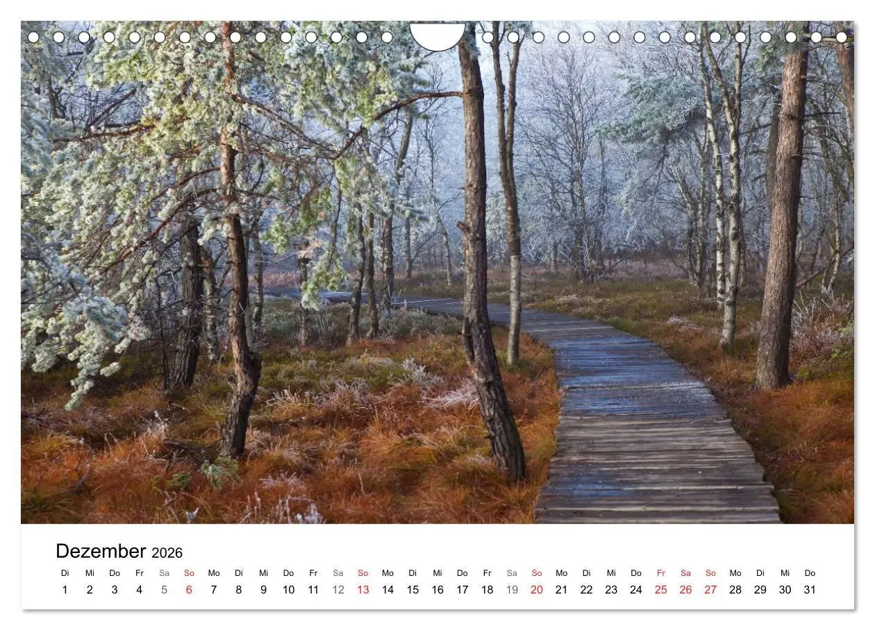 Bild: 9783457948484 | Auf neuen Wegen (Wandkalender 2026 DIN A4 quer), CALVENDO...