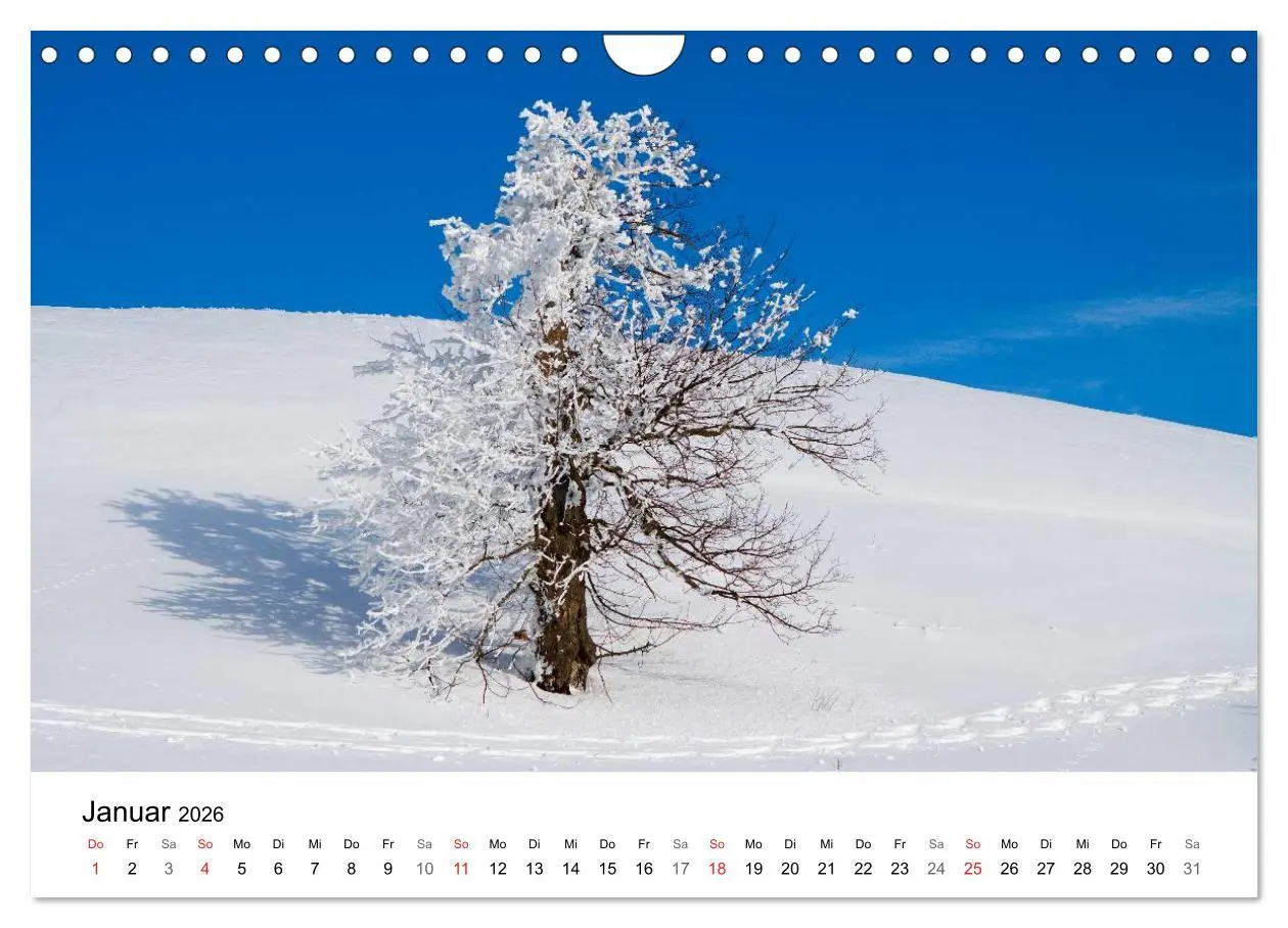 Bild: 9783457948484 | Auf neuen Wegen (Wandkalender 2026 DIN A4 quer), CALVENDO...