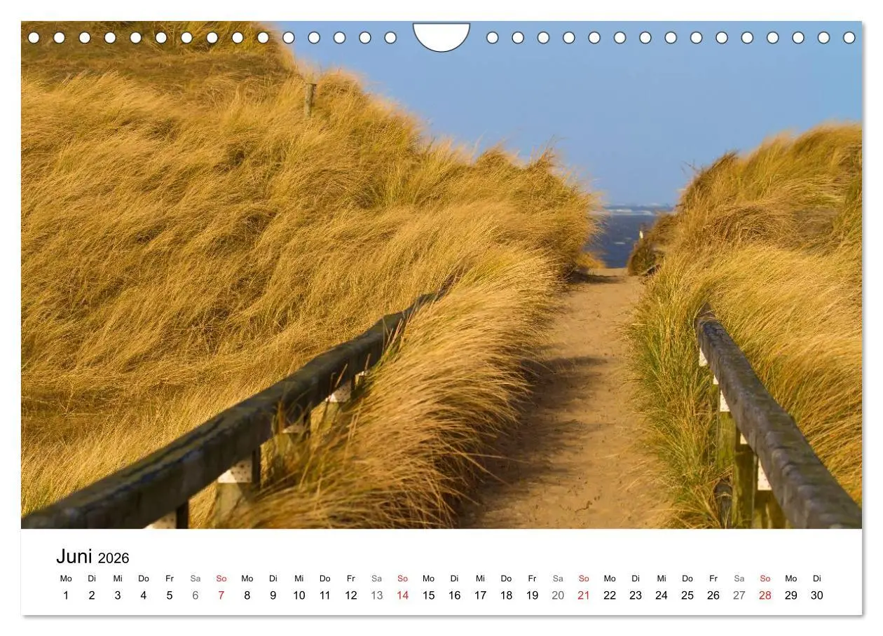 Bild: 9783457948484 | Auf neuen Wegen (Wandkalender 2026 DIN A4 quer), CALVENDO...