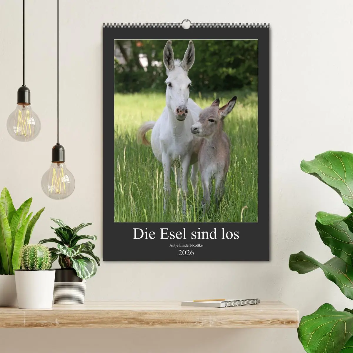 Bild: 9783516408584 | Die Esel sind los (Wandkalender 2026 DIN A2 hoch), CALVENDO...