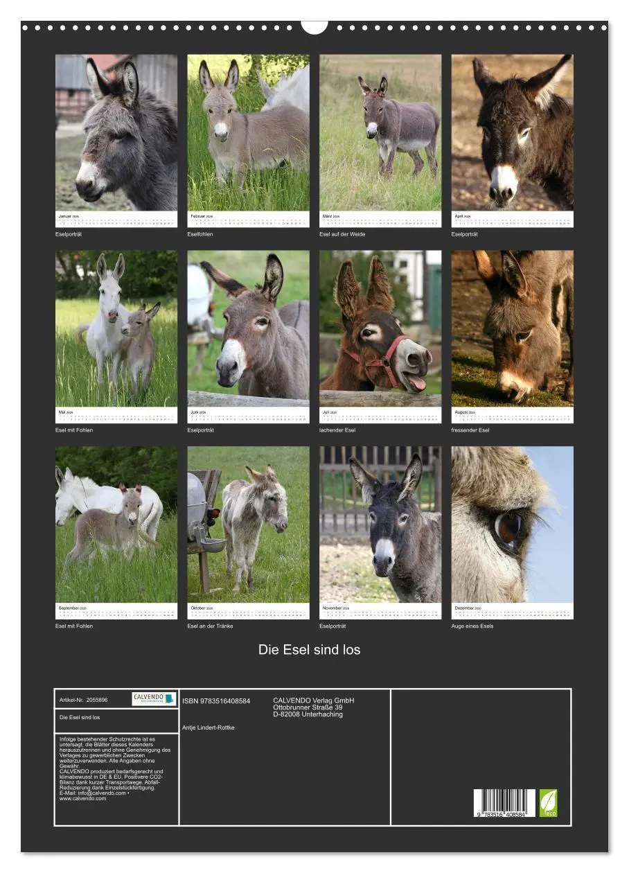 Bild: 9783516408584 | Die Esel sind los (Wandkalender 2026 DIN A2 hoch), CALVENDO...