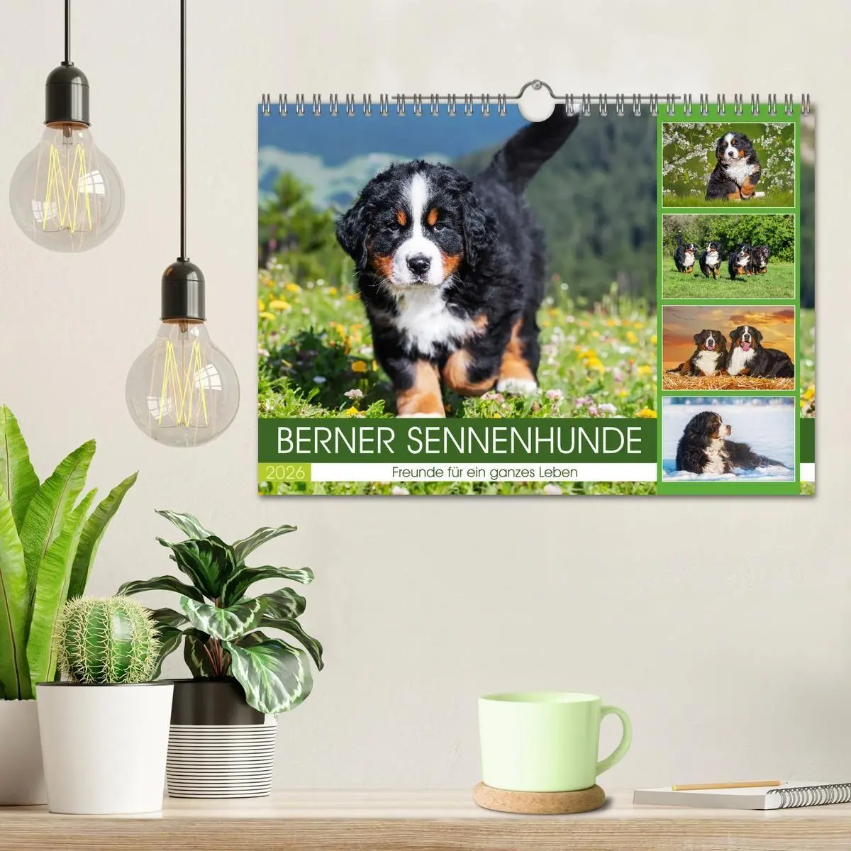 Bild: 9783516718584 | Berner Sennenhunde - Freunde für ein ganzes Leben (Wandkalender...