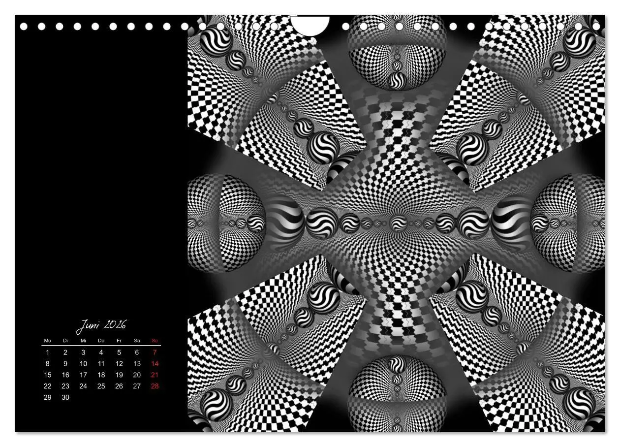 Bild: 9783516188684 | Schwarz trifft Weiß (Wandkalender 2026 DIN A4 quer), CALVENDO...