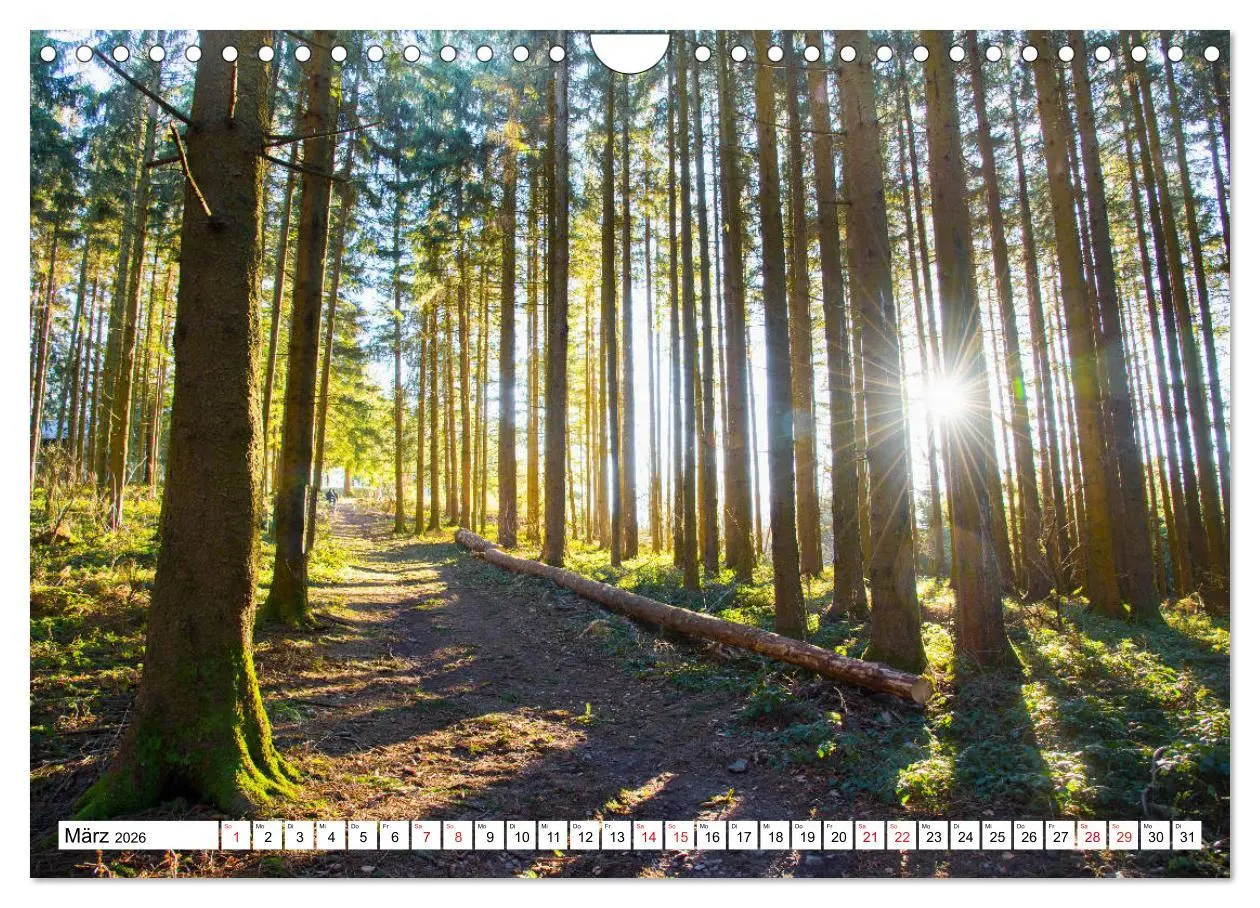 Bild: 9783457778784 | Idyllischer Schwarzwald (Wandkalender 2026 DIN A4 quer), CALVENDO...