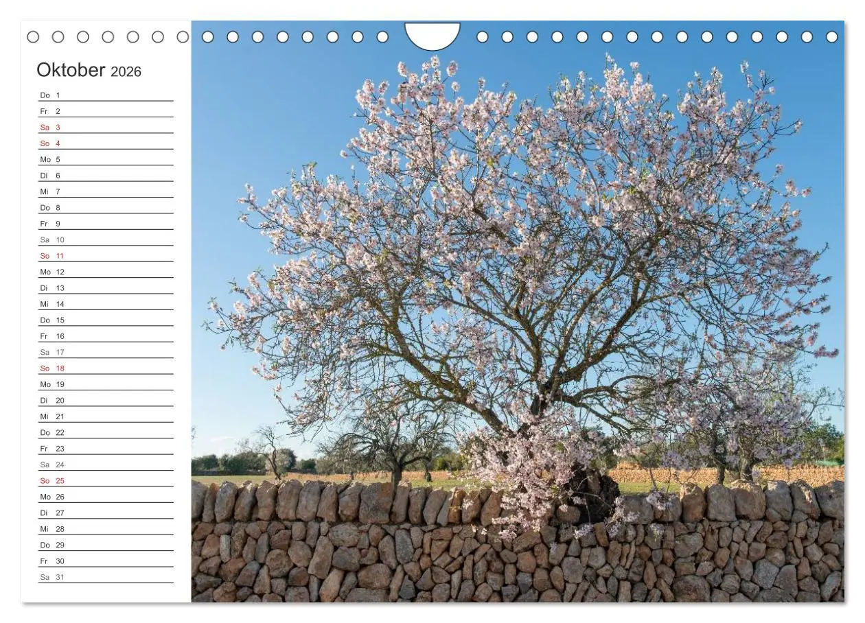 Bild: 9783516008784 | Emotionale Momente: Mandeln (Wandkalender 2026 DIN A4 quer),...