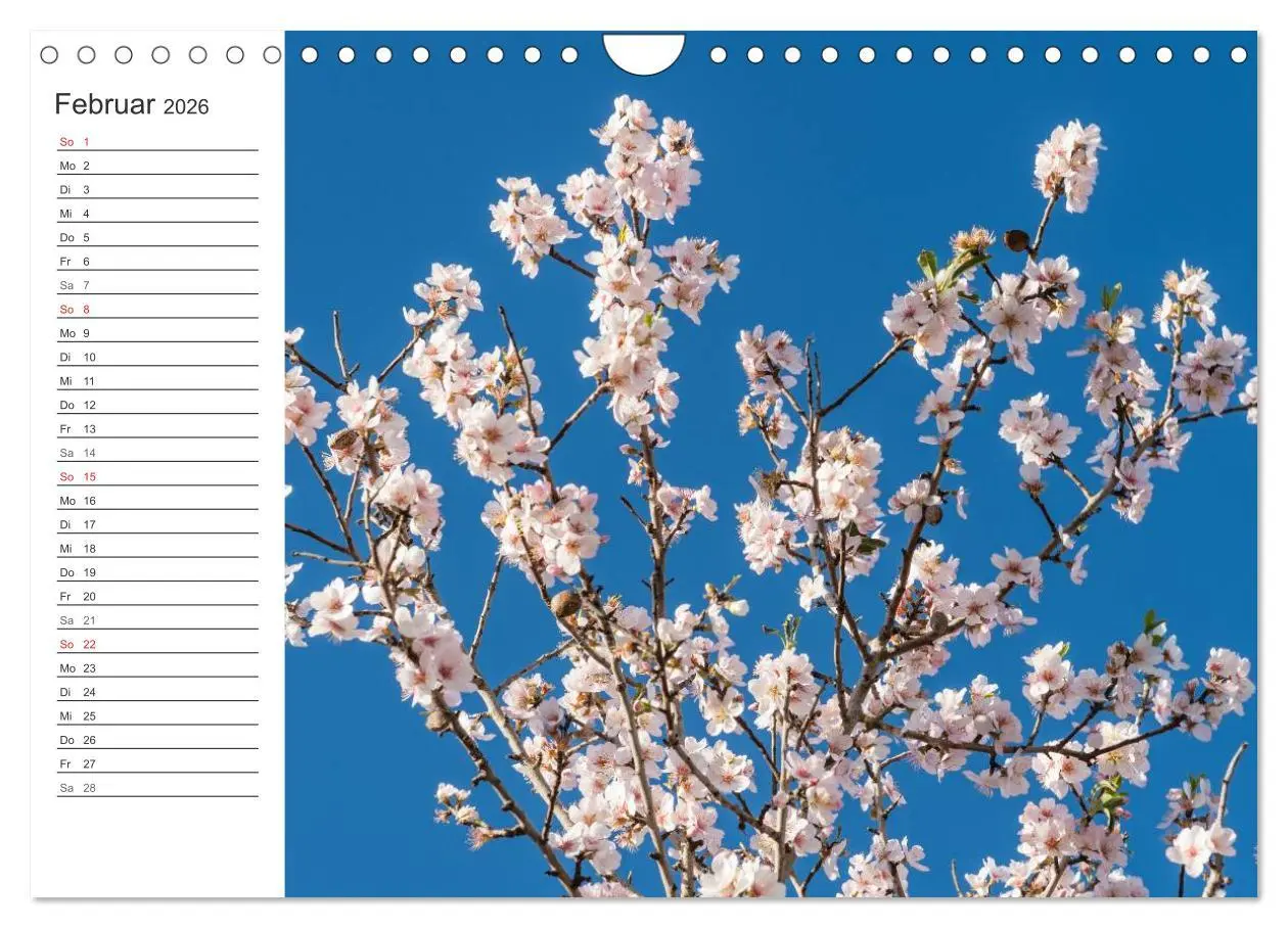 Bild: 9783516008784 | Emotionale Momente: Mandeln (Wandkalender 2026 DIN A4 quer),...