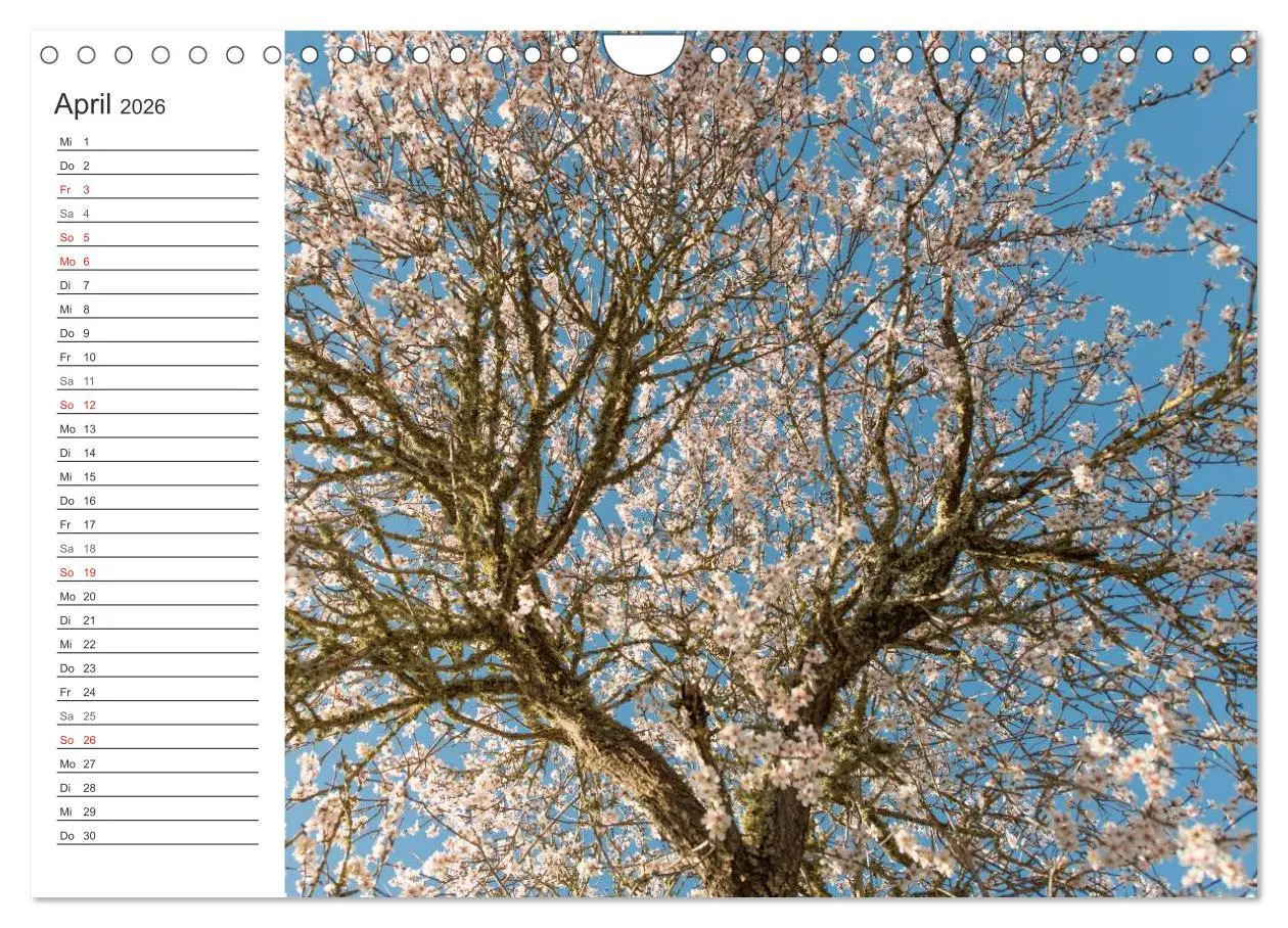 Bild: 9783516008784 | Emotionale Momente: Mandeln (Wandkalender 2026 DIN A4 quer),...