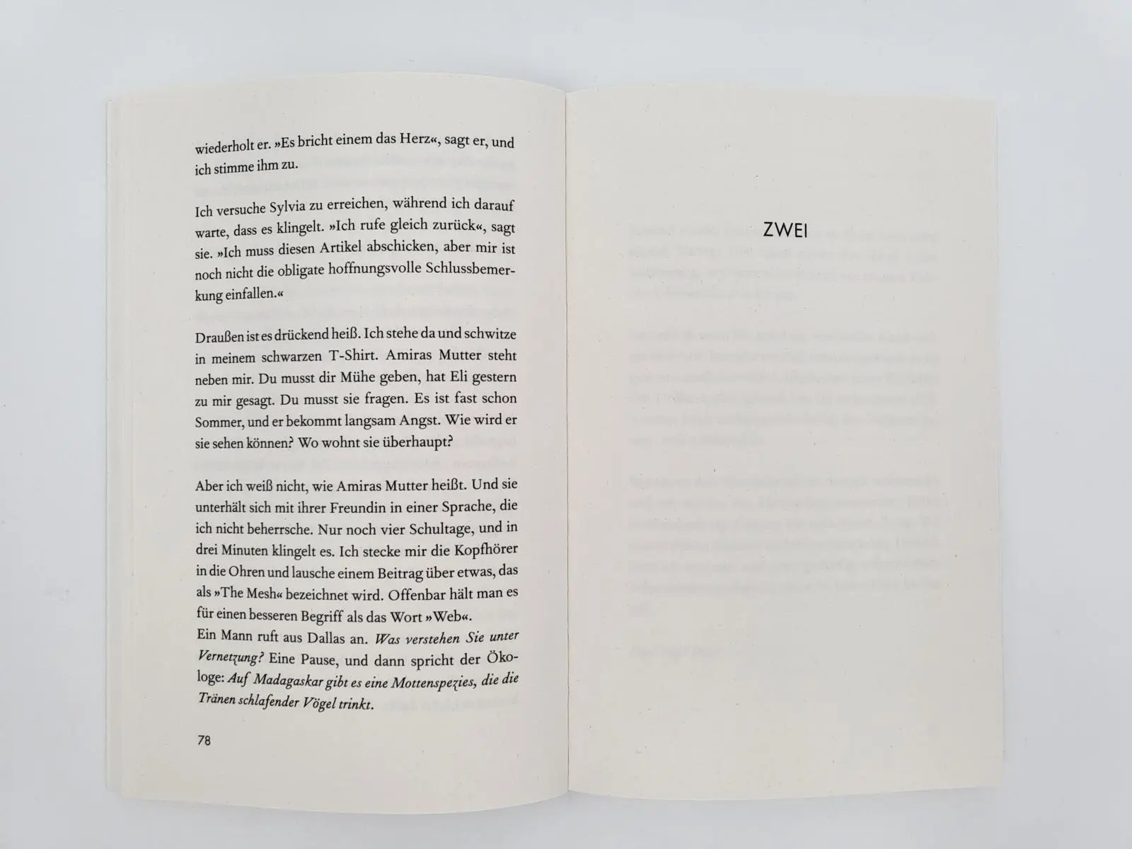 Bild: 9783492318884 | Wetter | Roman New York Times-Bestseller jetzt im Taschenbuch | Offill