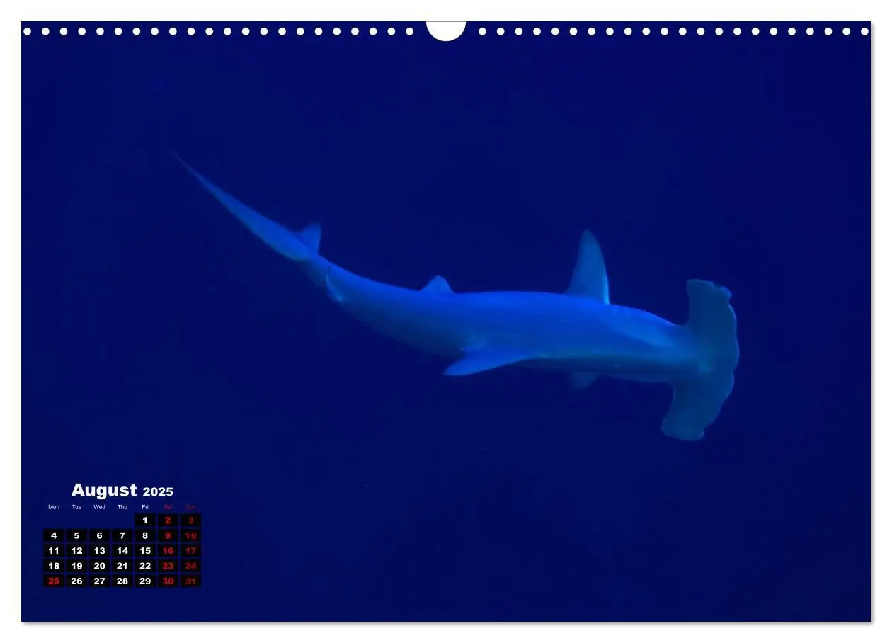 Bild: 9781325939084 | Magical Underwater World (Wall Calendar 2025 DIN A3 landscape),...