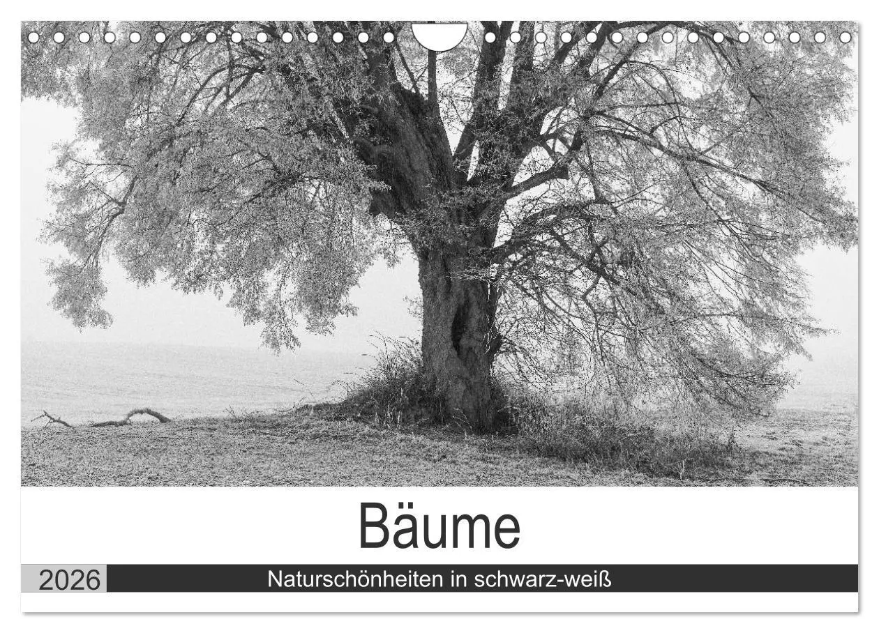 Cover: 9783516119084 | Bäume - Naturschönheiten in schwarz-weiß (Wandkalender 2026 DIN A4...