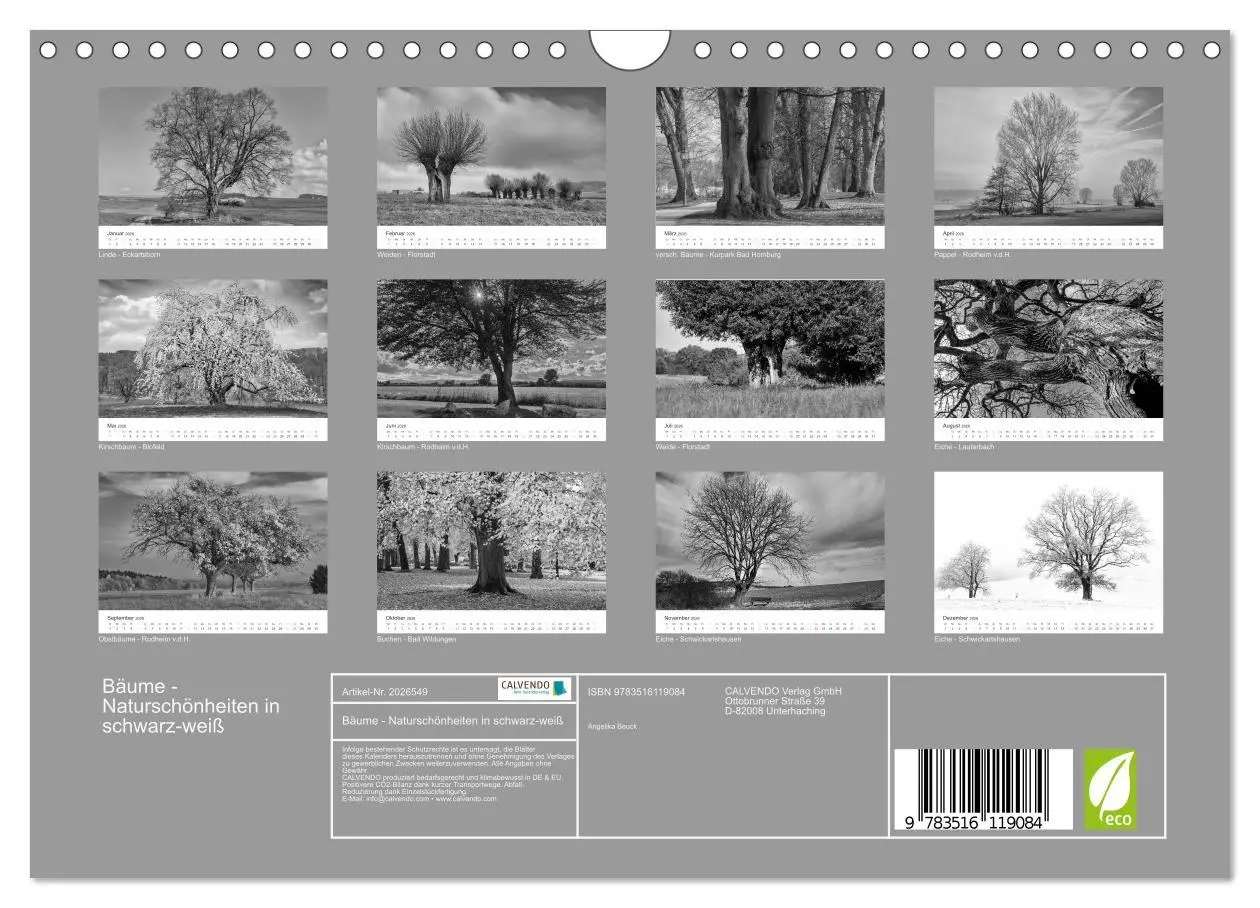 Bild: 9783516119084 | Bäume - Naturschönheiten in schwarz-weiß (Wandkalender 2026 DIN A4...