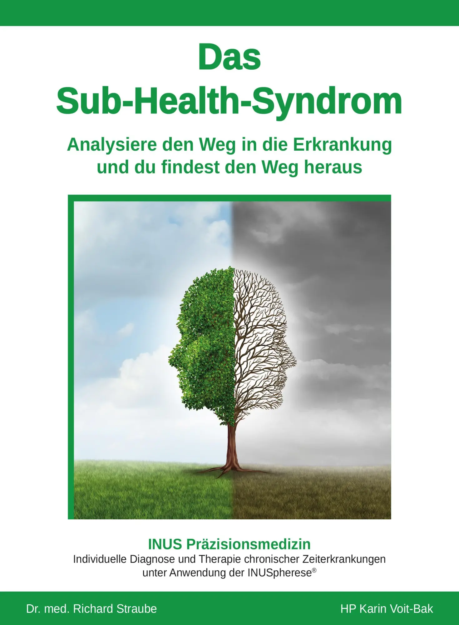 Cover: 9783948309084 | Das Sub-Health-Syndrom | Karin Voit-Bak (u. a.) | Taschenbuch | 341 S.